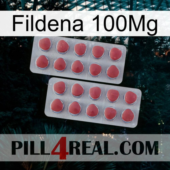 Fildena 100Mg 19.jpg